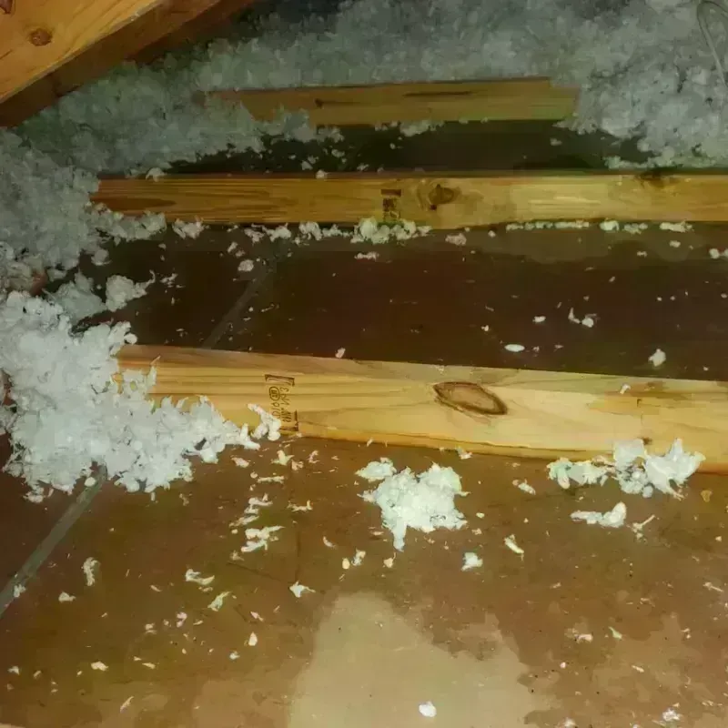 Attic Water Damage in Fountain, CO