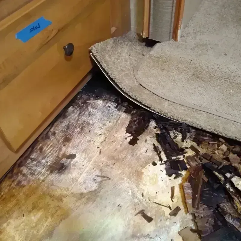 Wood Floor Water Damage in Fountain, CO